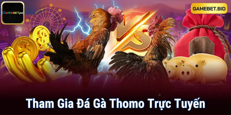 Tham Gia Đá Gà Thomo Trực Tuyến